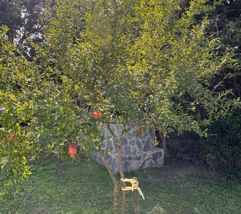 Photo of Others in Buyukcekmece