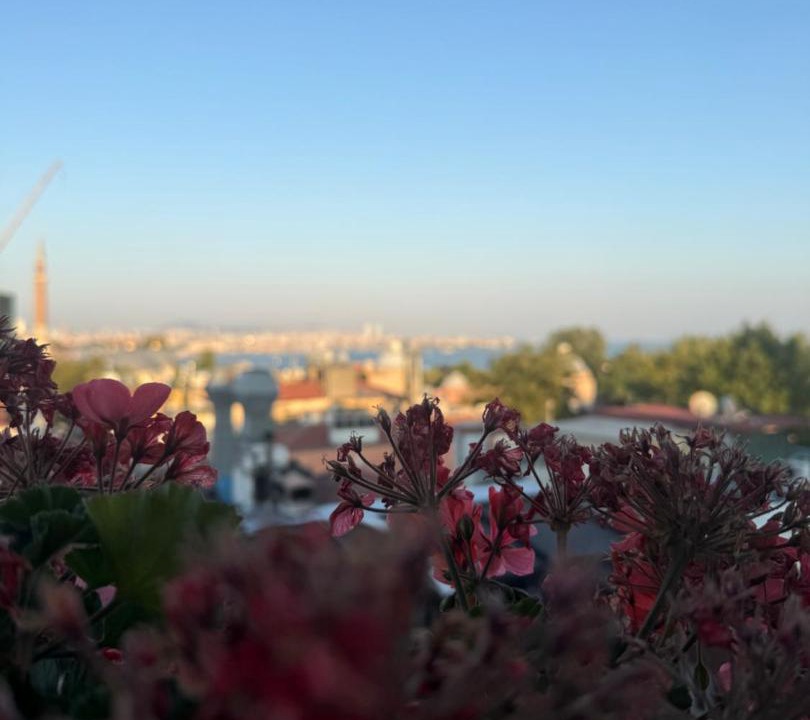Photo of Others in Sultanahmet