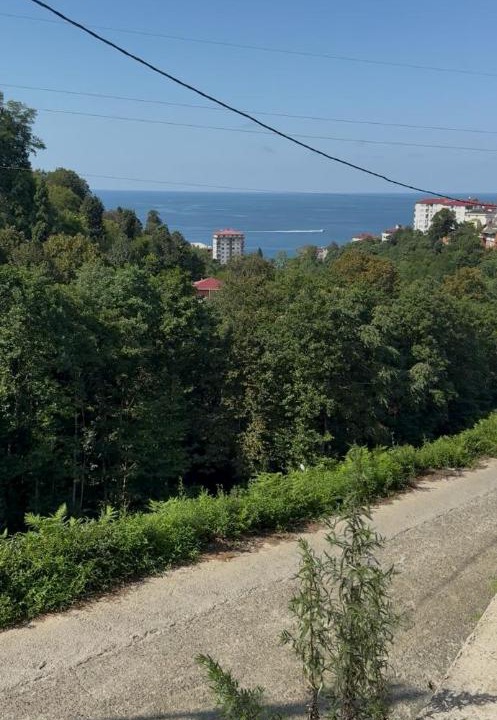 Photo of Others in Pazar
