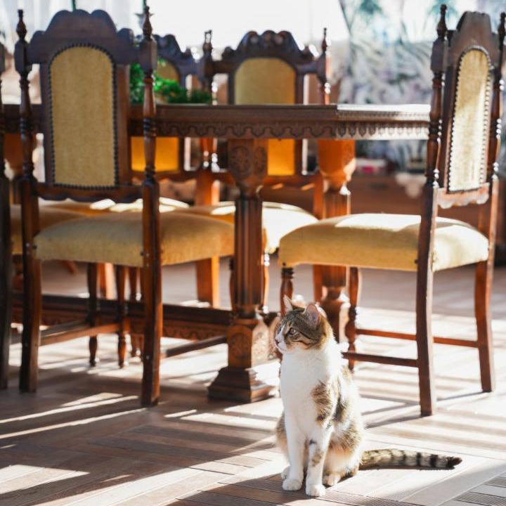 Photo of Others in Serdivan