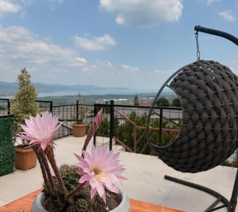 Photo of Patio Balcony in Masukiye