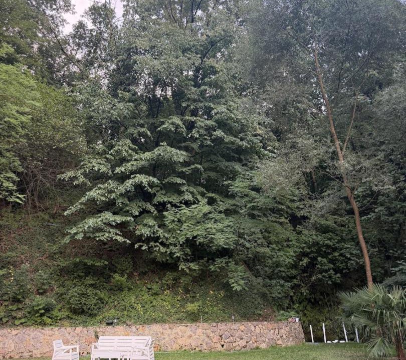 Photo of Others in Basiskele
