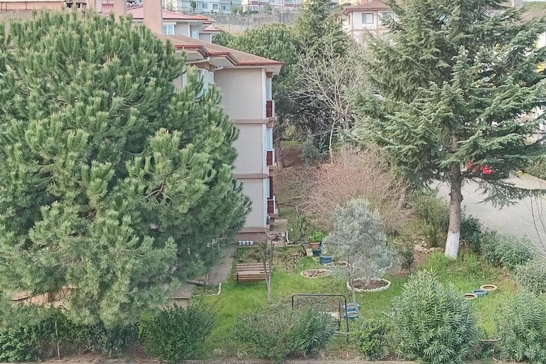 Photo of Others in Cinarcik