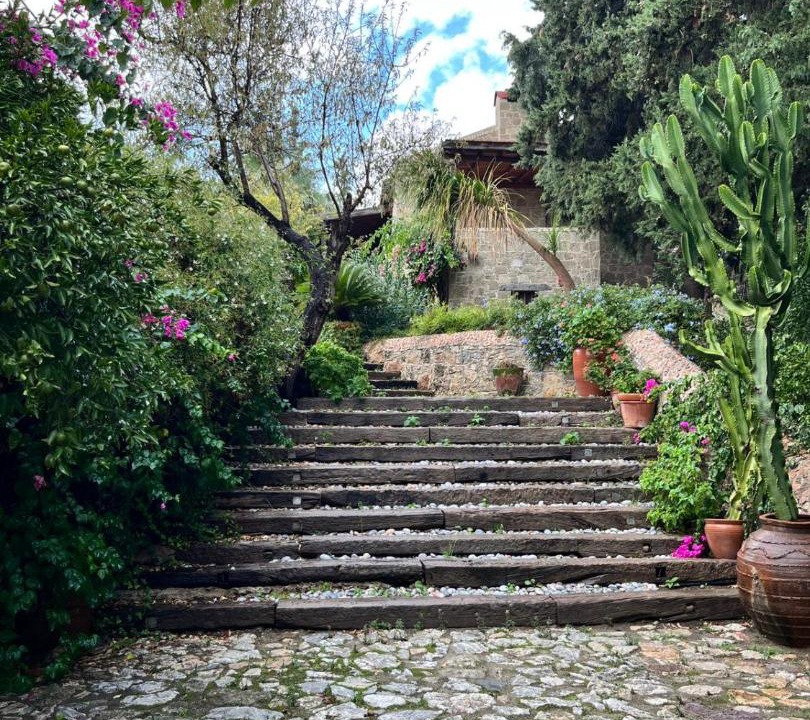 Photo of Others in Datca