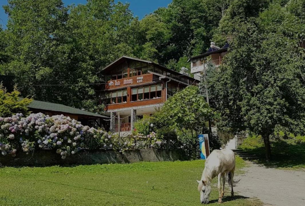 Photo of Others in Sapanca