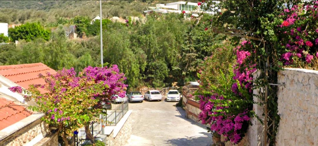 Photo of Others in Kalkan