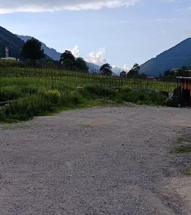 Photo of Others in Uzungol