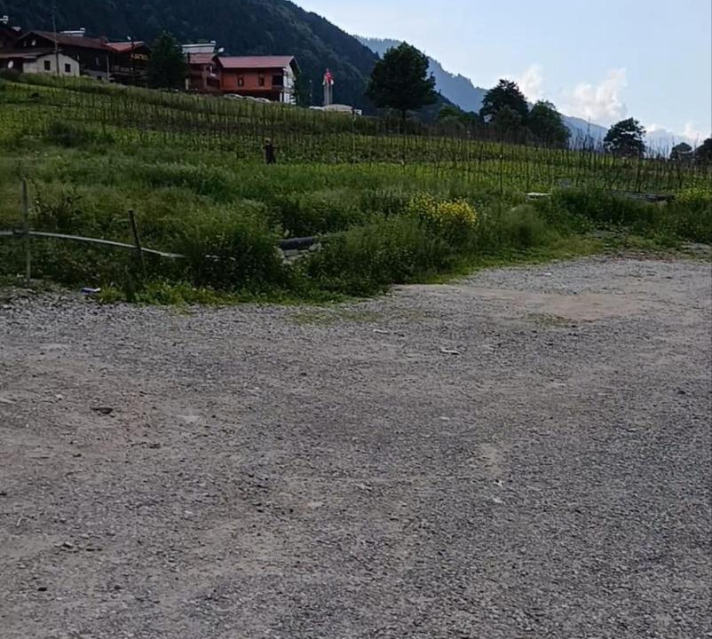 Photo of Others in Uzungol