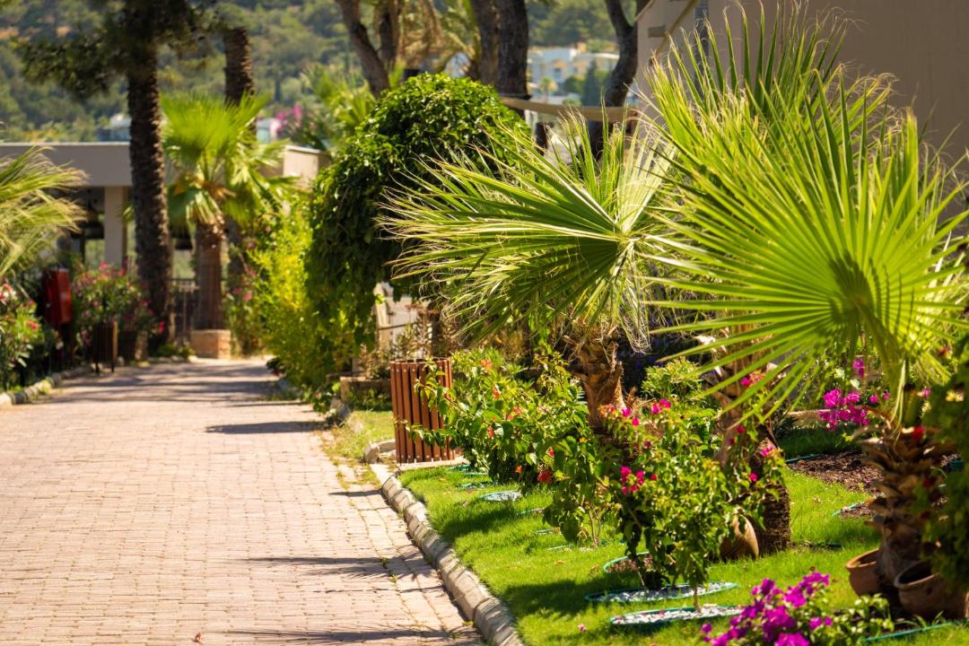 Photo of Others in Zeytinlikahve