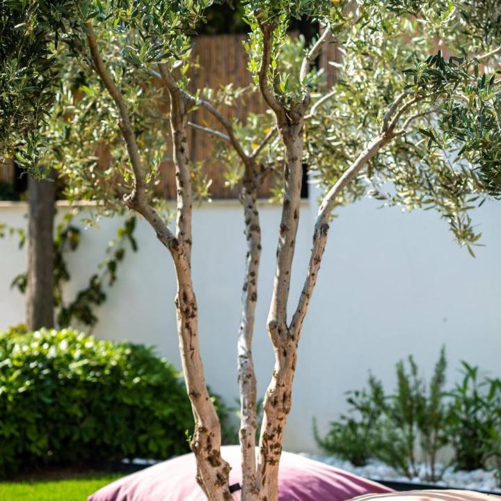 Photo of Others in Cesme