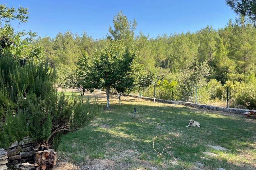 Photo of Outdoor in Milas