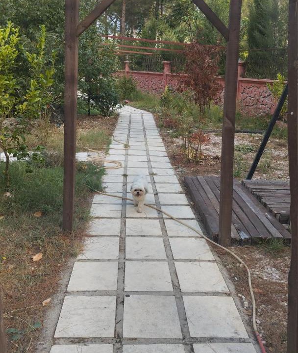 Photo of Outdoor in Turgut