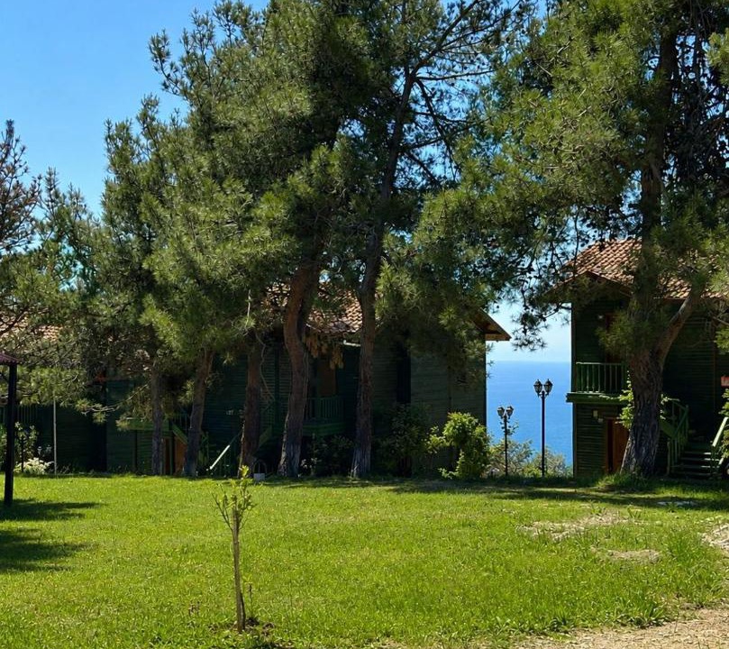 Photo of Others in Amasra