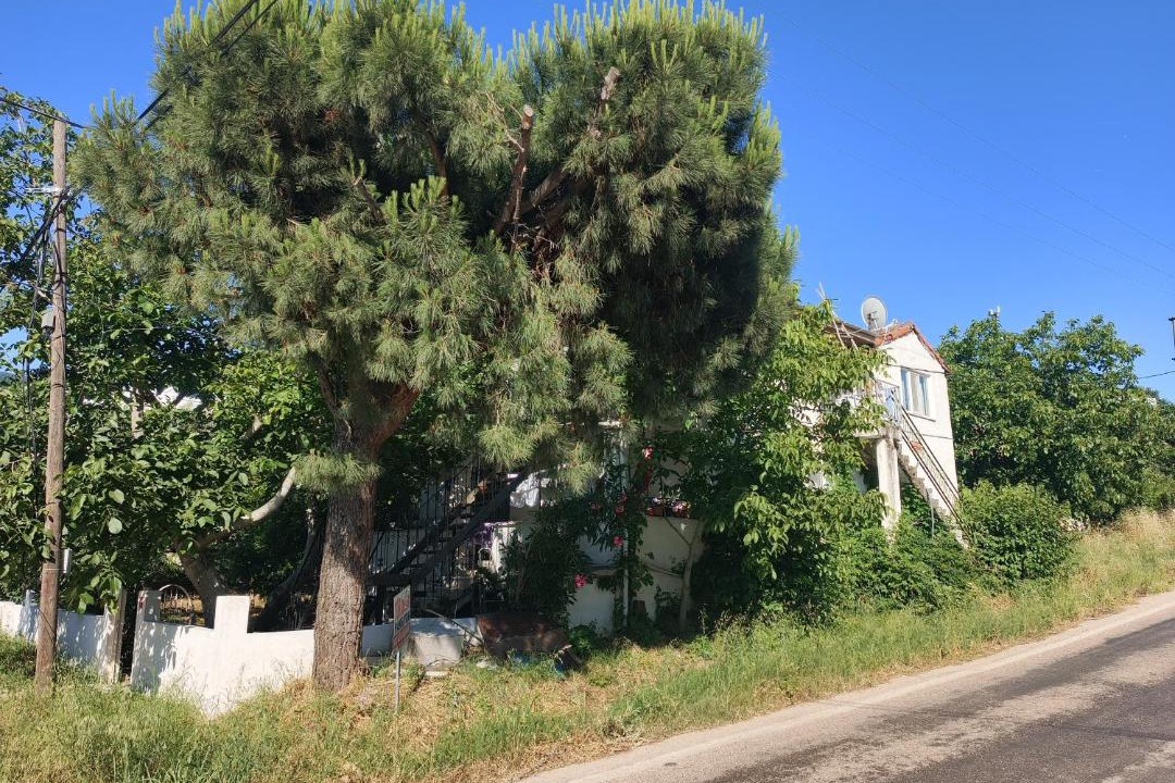 Photo of Others in Ocaklar