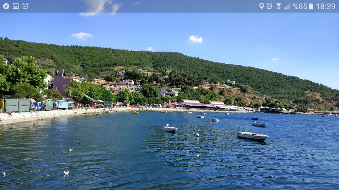 Photo of Others in Ocaklar
