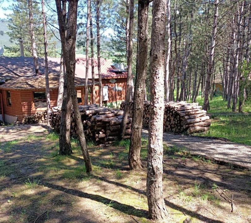 Photo of Others in Mengen