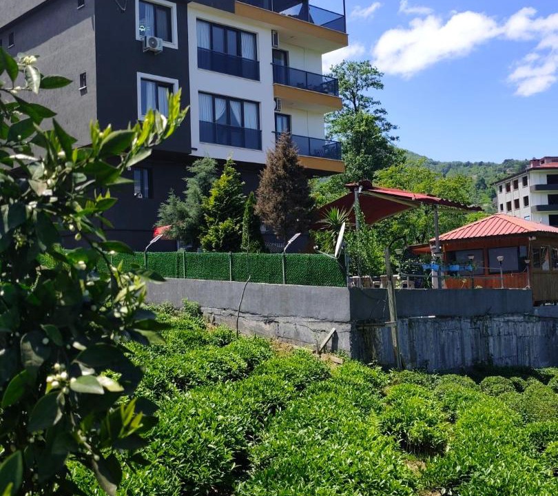 Photo of Others in Rize