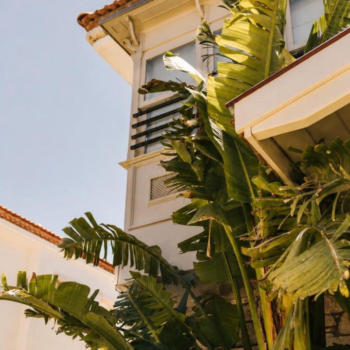 Photo of Others in Alacati