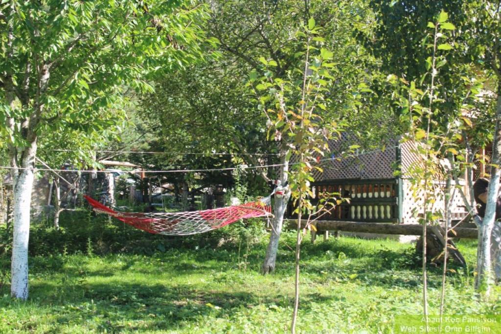 Photo of Others in Dereceoren