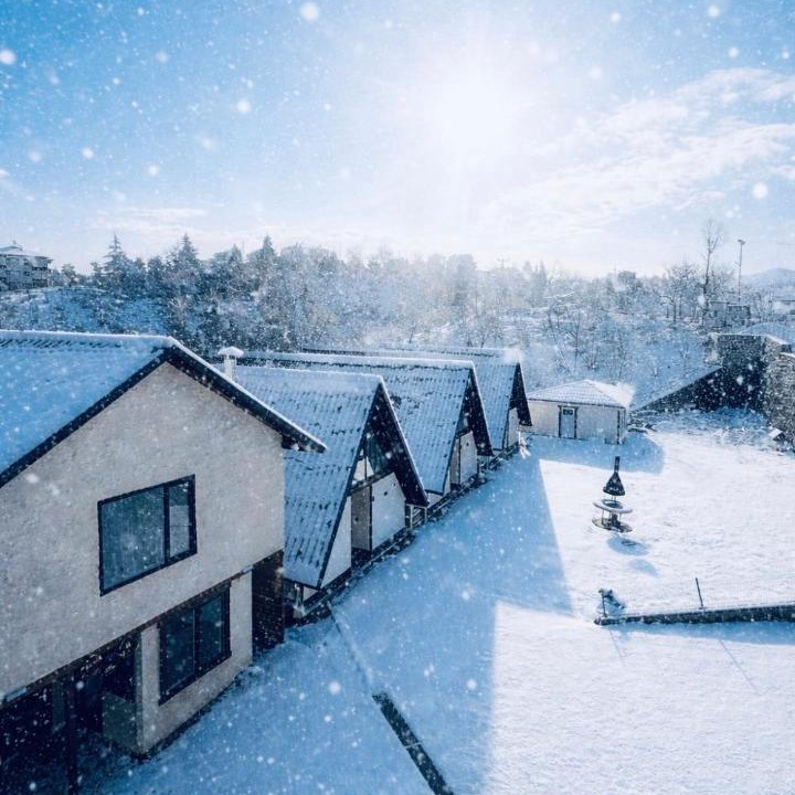 Photo of Others in Arsin