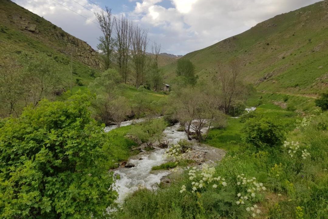 Photo of Others in Bayburt