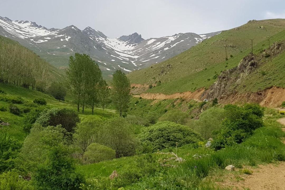 Photo of Others in Bayburt