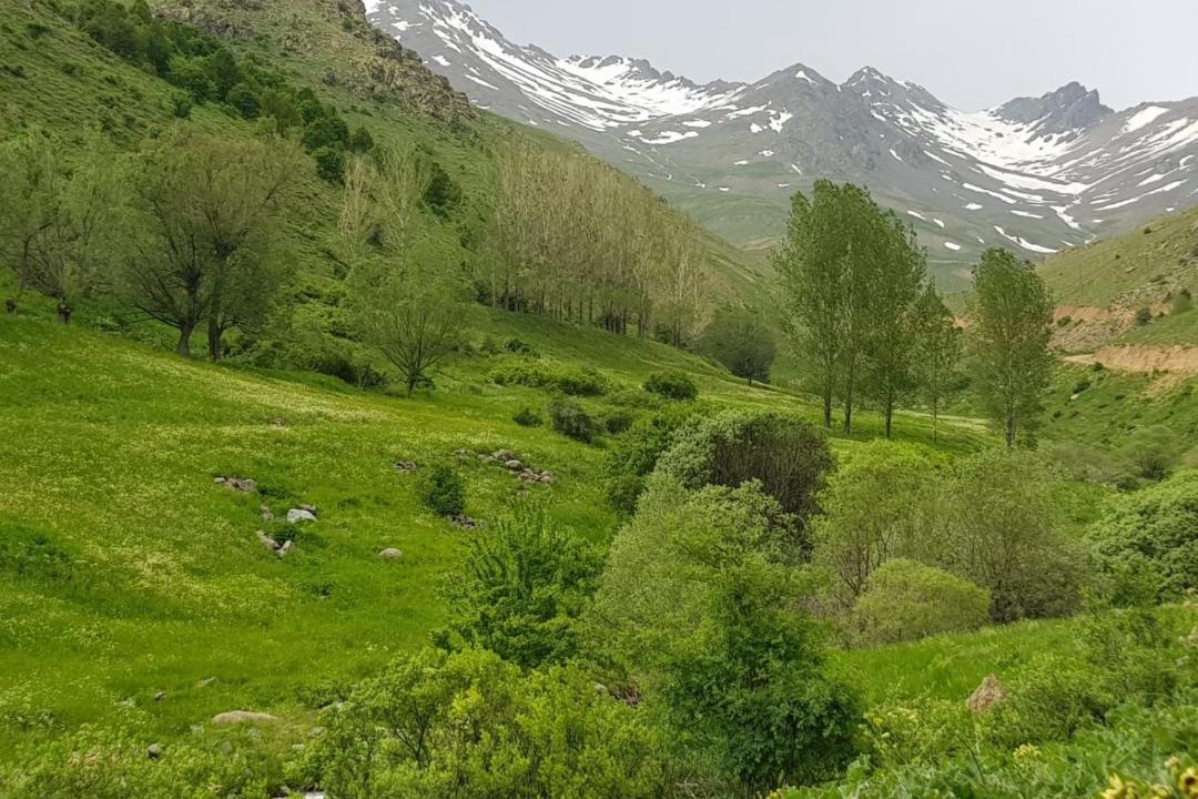 Photo of Others in Bayburt