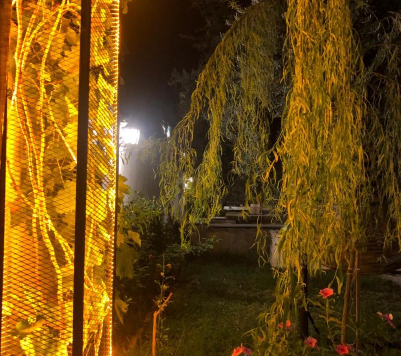Photo of Others in Camyuva