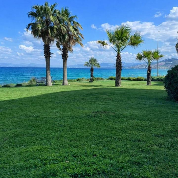 Photo of Others in Pelitkoy