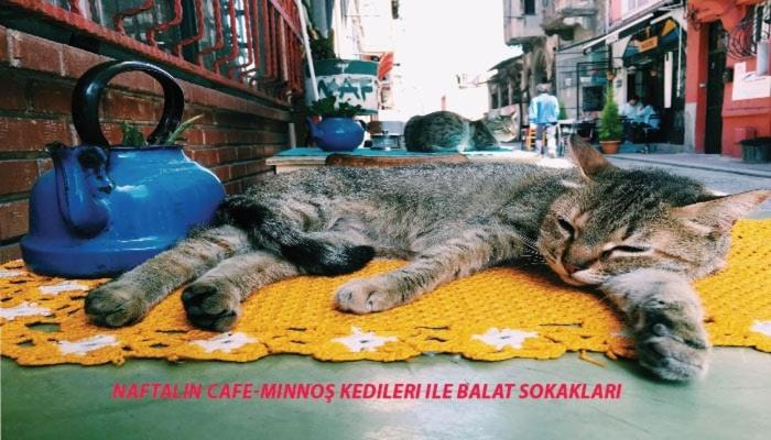 Photo of Others in Balat