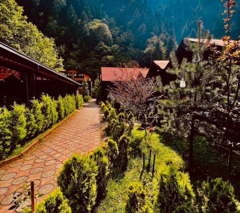 Photo of Others in Uzungol