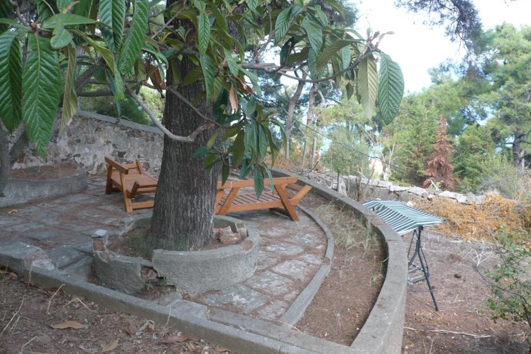 Photo of Others in Adalar