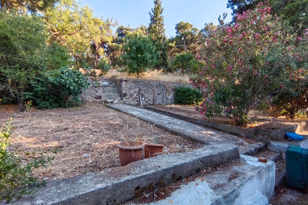 Photo of Others in Adalar