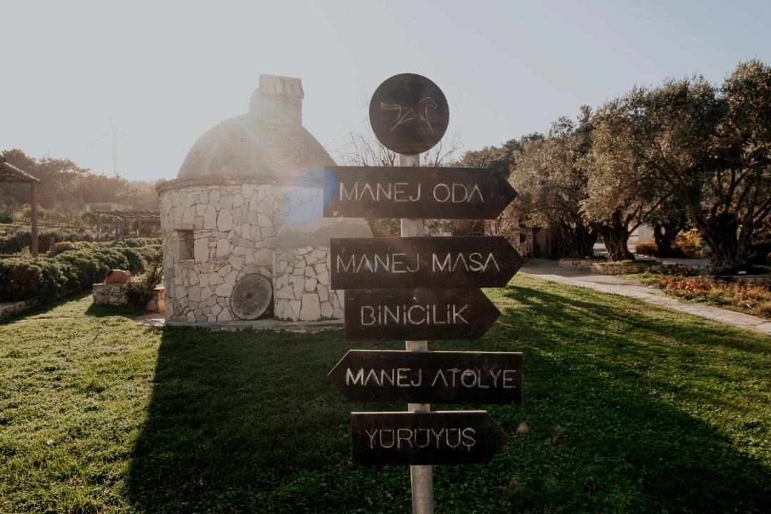 Photo of Others in Urla