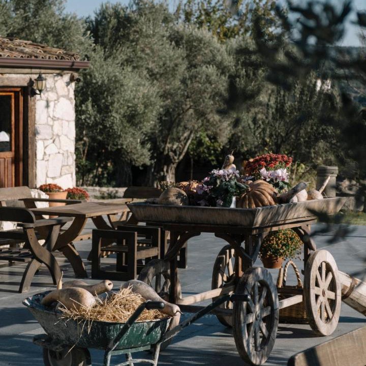 Photo of Others in Urla