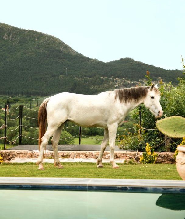 Photo of Others in Fethiye
