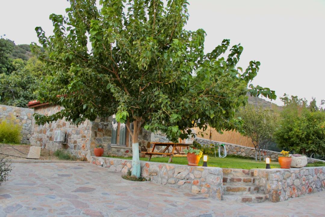 Photo of Others in Datca