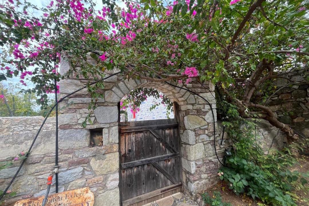 Photo of Others in Old Datca