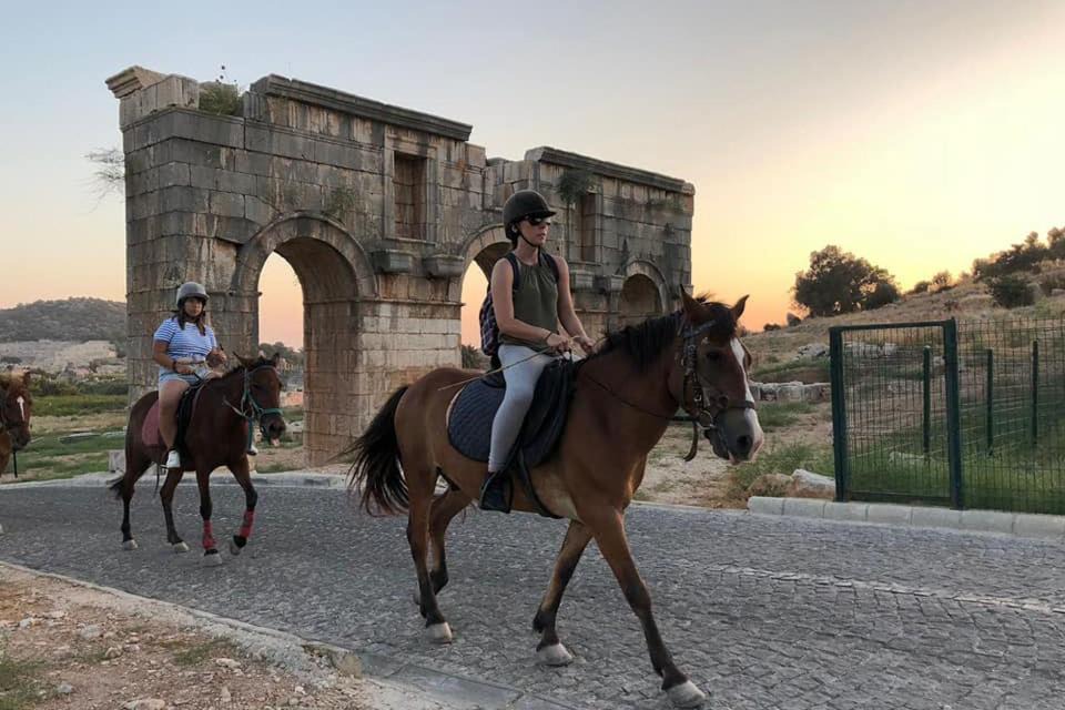Photo of Others in Kalkan