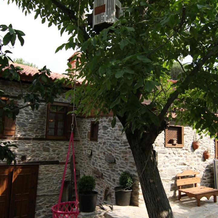 Photo of Others in Birgi