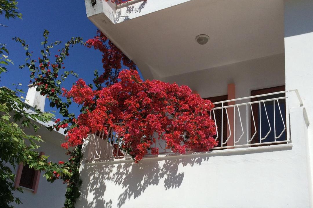 Photo of Others in Kemer