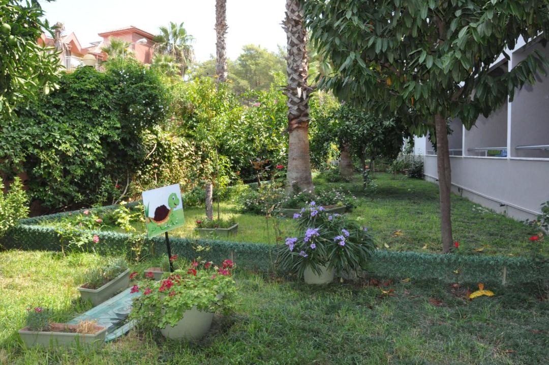 Photo of Others in Kemer