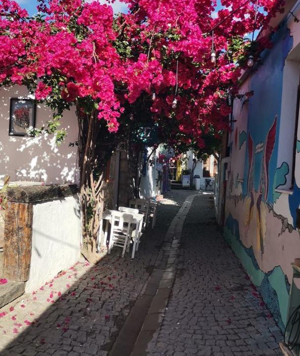 Photo of Others in Sigacık