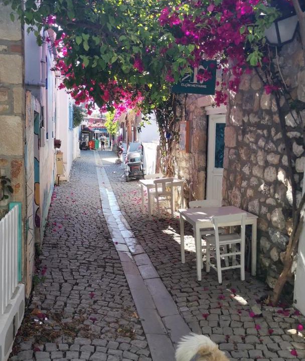 Photo of Others in Sigacık