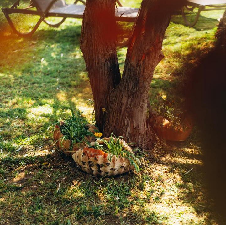 Photo of Others in Kucukkuyu
