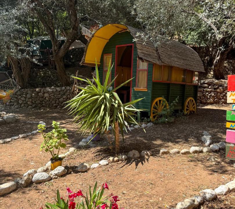 Photo of Others in Kabak Valley