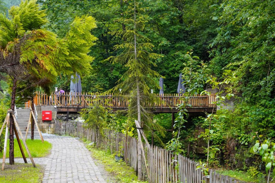 Photo of Others in Ayder