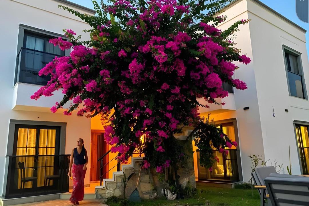 Photo of Others in Bodrum City Center