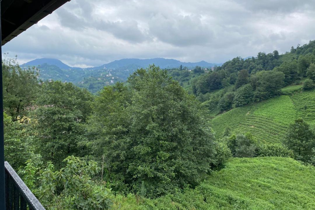 Photo of Others in Rize