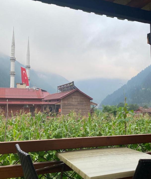 Photo of Others in Uzungol